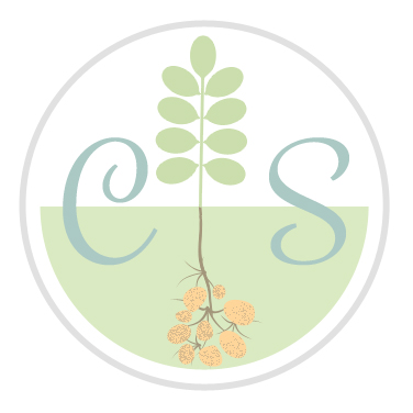 La cascata dei sapori